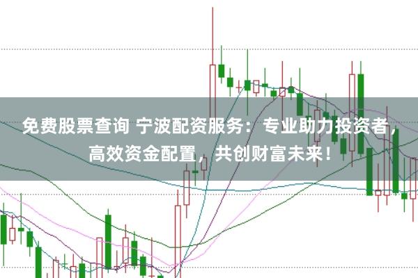 免费股票查询 宁波配资服务：专业助力投资者，高效资金配置，共创财富未来！