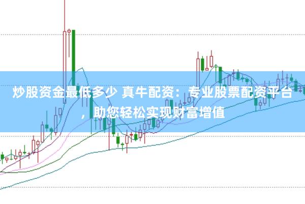 炒股资金最低多少 真牛配资：专业股票配资平台，助您轻松实现财富增值