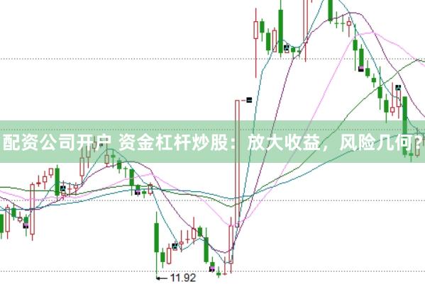 配资公司开户 资金杠杆炒股:放大收益,风险几何?