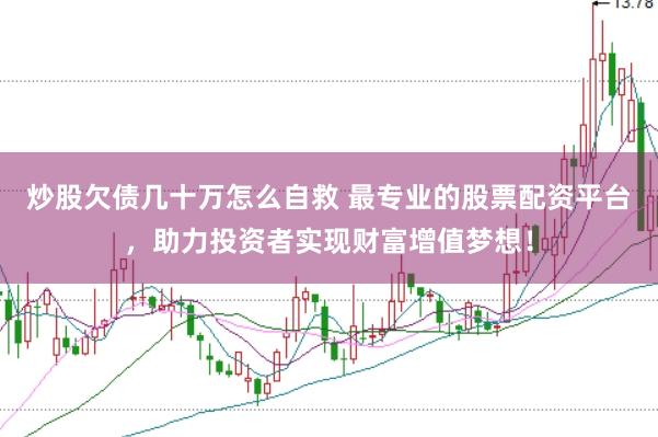 炒股欠债几十万怎么自救 最专业的股票配资平台，助力投资者实现财富增值梦想！