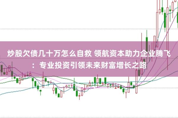 炒股欠债几十万怎么自救 领航资本助力企业腾飞：专业投资引领未来财富增长之路