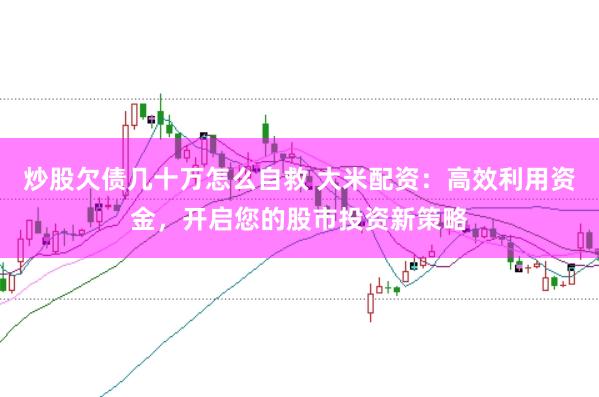 炒股欠债几十万怎么自救 大米配资：高效利用资金，开启您的股市投资新策略