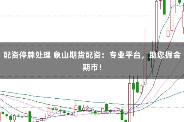 配资停牌处理 象山期货配资：专业平台，助您掘金期市！