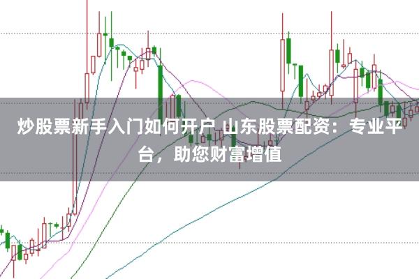 炒股票新手入门如何开户 山东股票配资：专业平台，助您财富增值