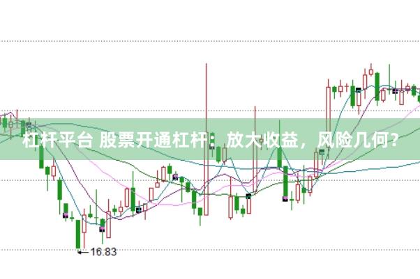 杠杆平台 股票开通杠杆：放大收益，风险几何？